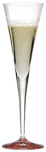champagne flute champagne flute