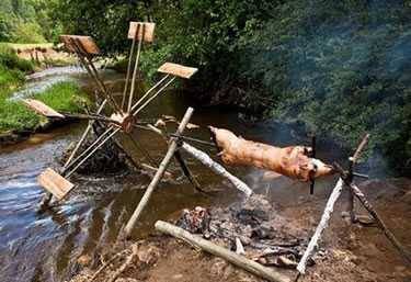 hog rotisserie hog rotisserie