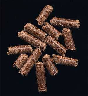 pellets pellets