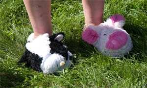 Some competitors wear fluffy slippers Some competitors wear fluffy slippers