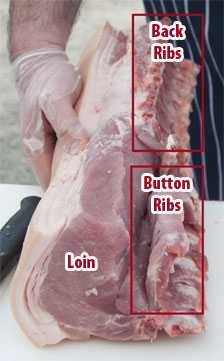 Pork Cuts Explained