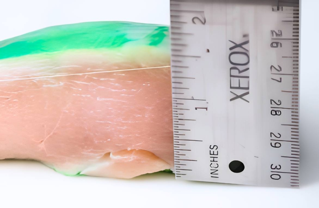 Chicken breast with green dye showing penetration of marinades