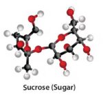 Sucrose molecule