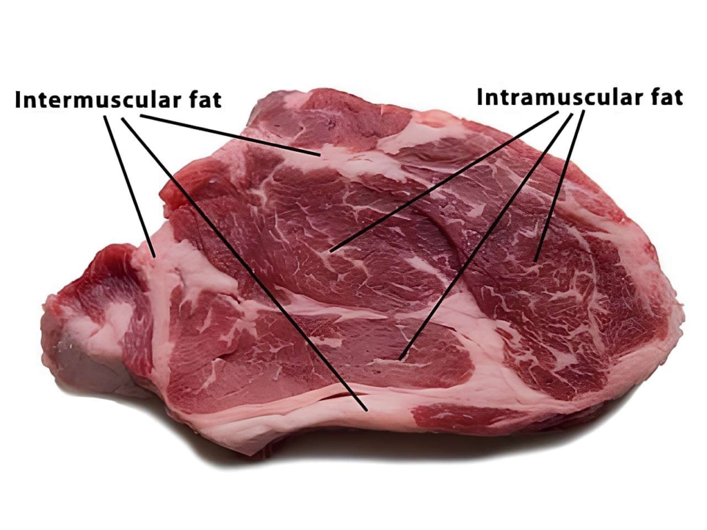 Graphic showing types of fat in a raw steak