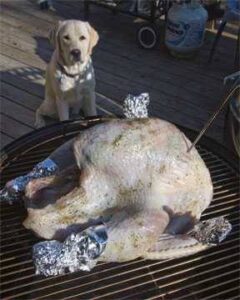 From Grill to Plate: The Go-To BBQ Turkey Recipe Done Outdoors ...