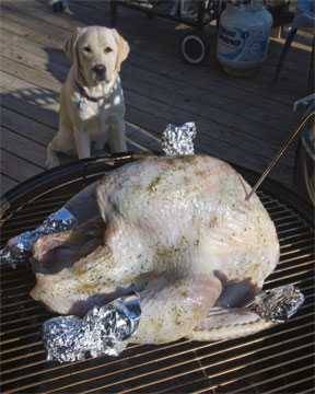 Raw turkey on a grill