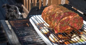 grilled prime rib