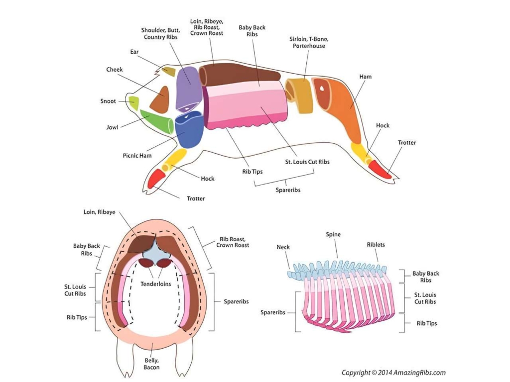 Diagram showing different cuts of pork