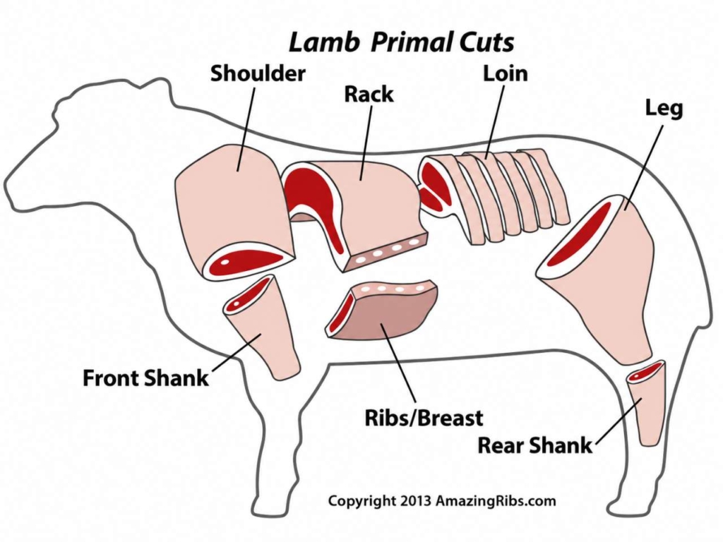 Chart showing different cuts of lamb