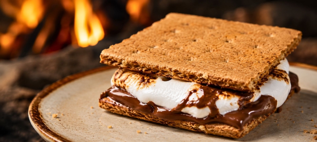 A Nutella and toasted marshmallow s'more on a plate with fire in the background.