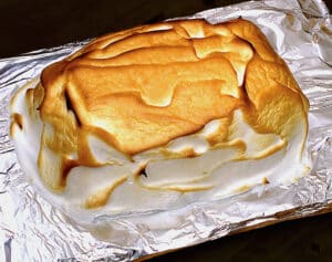 barbecue ice cream before cutting.