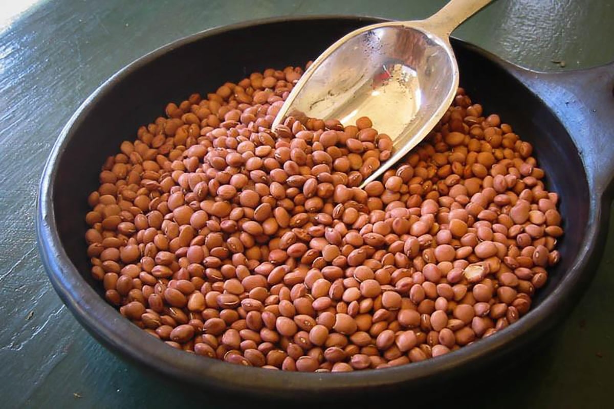 pinquito beans for borrachos