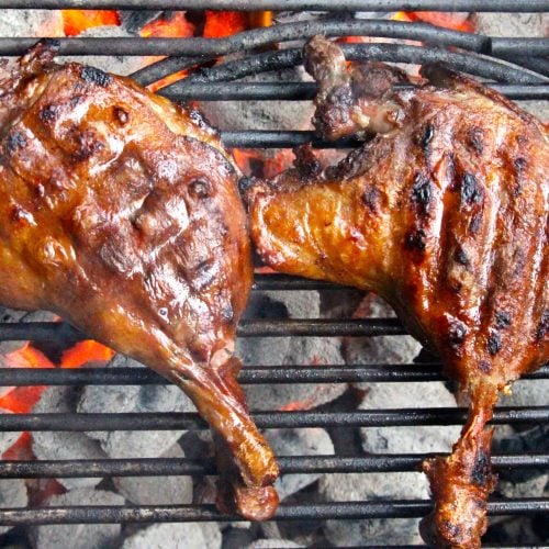 Duck And Goose Recipes - Meathead's AmazingRibs.com