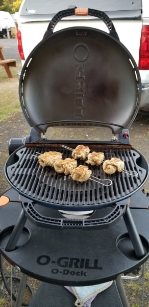 Chicken spiedini on the grill