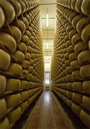 Parmigiano-Reggiano Aging