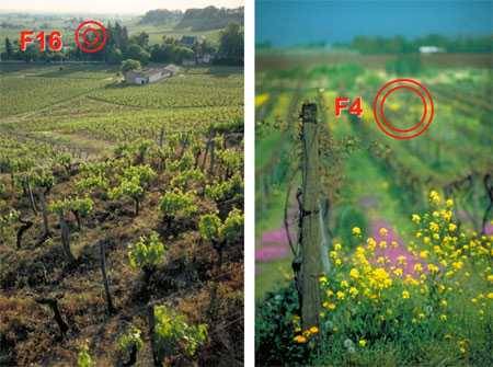 image comparing different camera aperture settings