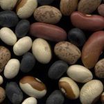 multicolor beans
