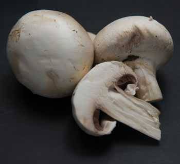 button mushrooms