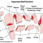 important beef sections