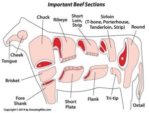 important beef sections