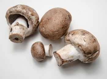 cremini mushroom