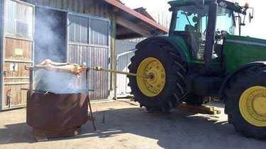 deere cooks pig