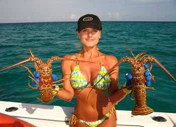 Spiny lobsters