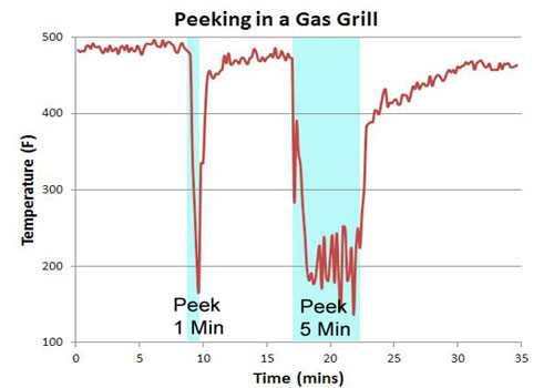 peeking in a gas grill