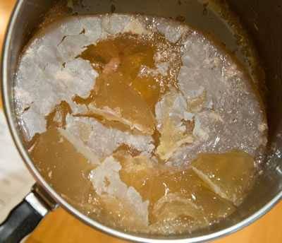 gelatin aspic gelatin aspic