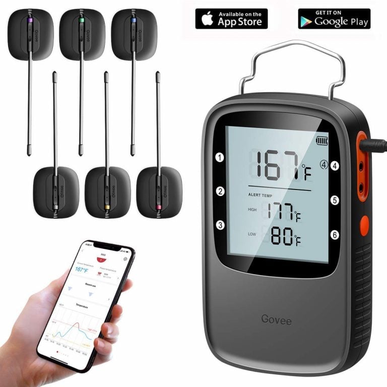 Govee H5055 Bluetooth Meat Thermometer Review