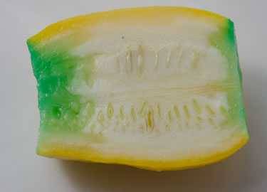 https://amazingribs.com/wp-content/uploads/2020/10/green-stained-squash.jpg