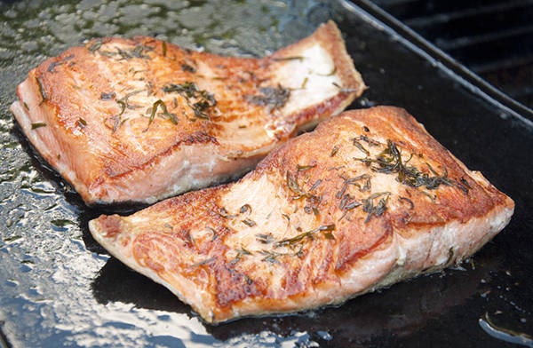 griddled salmon