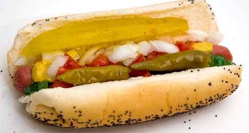 Hot dog on a stripped plate and beans and coleslaw.