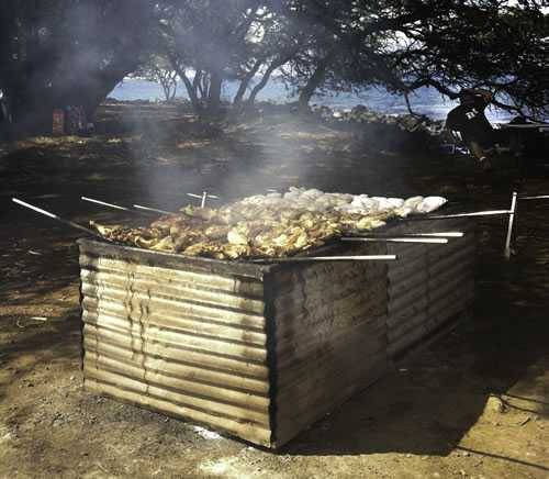 huli huli chicken stand