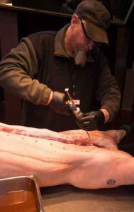 Phil Wingo injecting hog