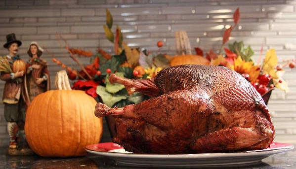 kole shannons turkey