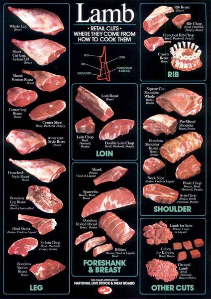 Poster of retail lamb cuts