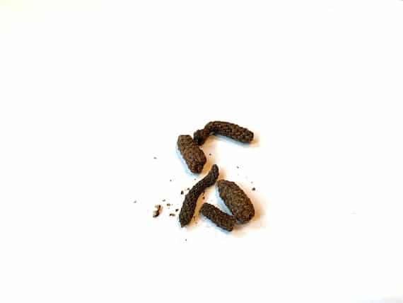 long pepper