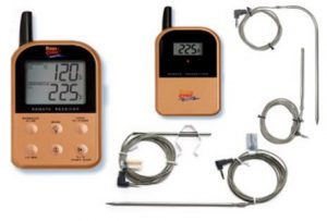 Maverick ET-732 Redi-Check Review