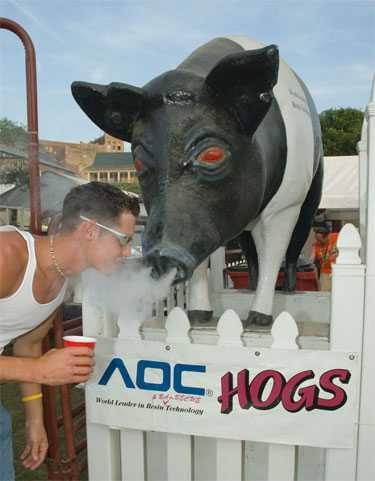 hog shaped smoker