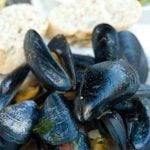 Mussels in a pile