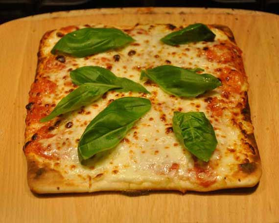 Pizza with fresh oregano leaves.