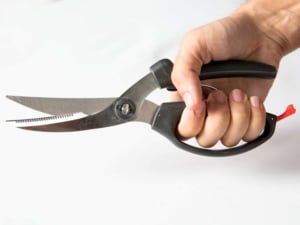 poultry shears