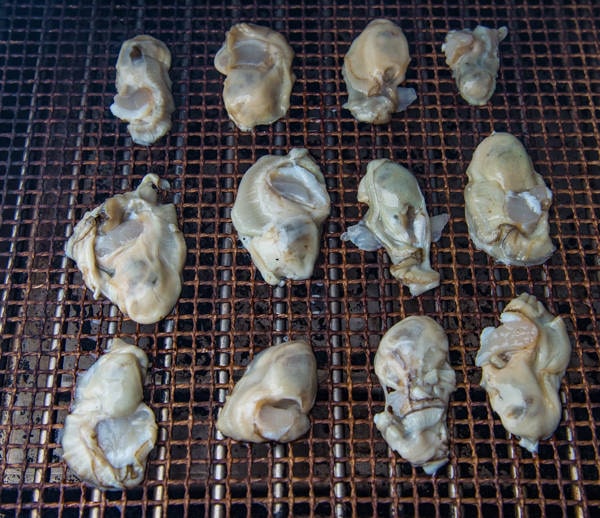raw oysters on a grill topper