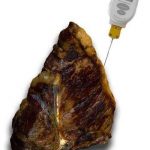 cooked meat with a temperature probe