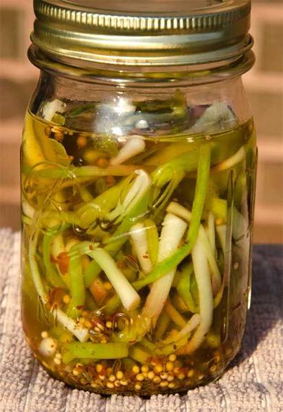slender green ramps with liquid and whole spices in mason jar