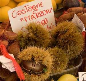 raw chestnuts