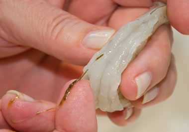 removing shrimp vein