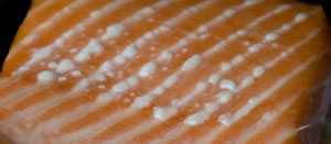 salmon boogers salmon boogers