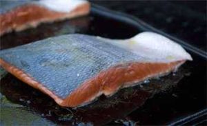 Salmon fillet on a hot griddle